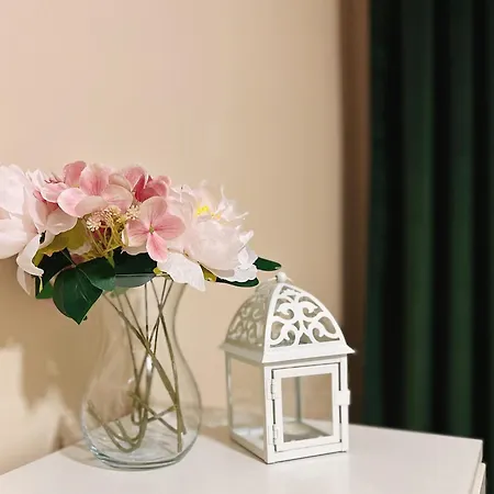 The Nest Apartment Becej